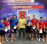 Дюжина медалей ярославских бойцов