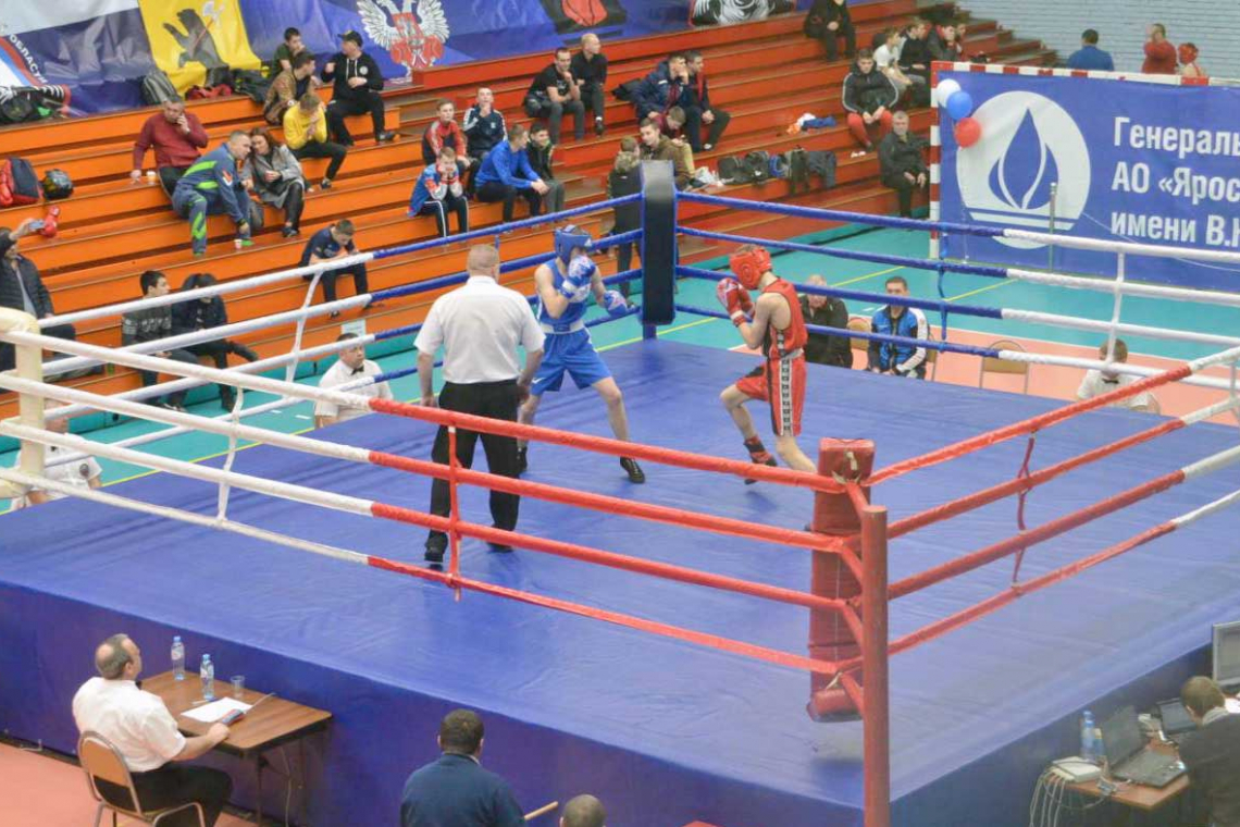 Ярославские боксёры в финале