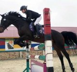 Пять медалей ярославских конников