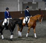 Спортсмены ярославской конноспортивной школы начали подготовку к соревнованиям