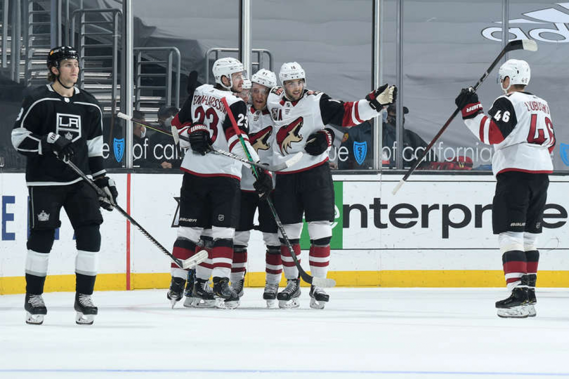 Любушкин холмский 2. Arizona Coyotes Lyubushkin.