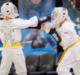 25 медалей кудоистов