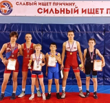 Борцы привезли медали