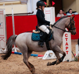 А пони тоже кони