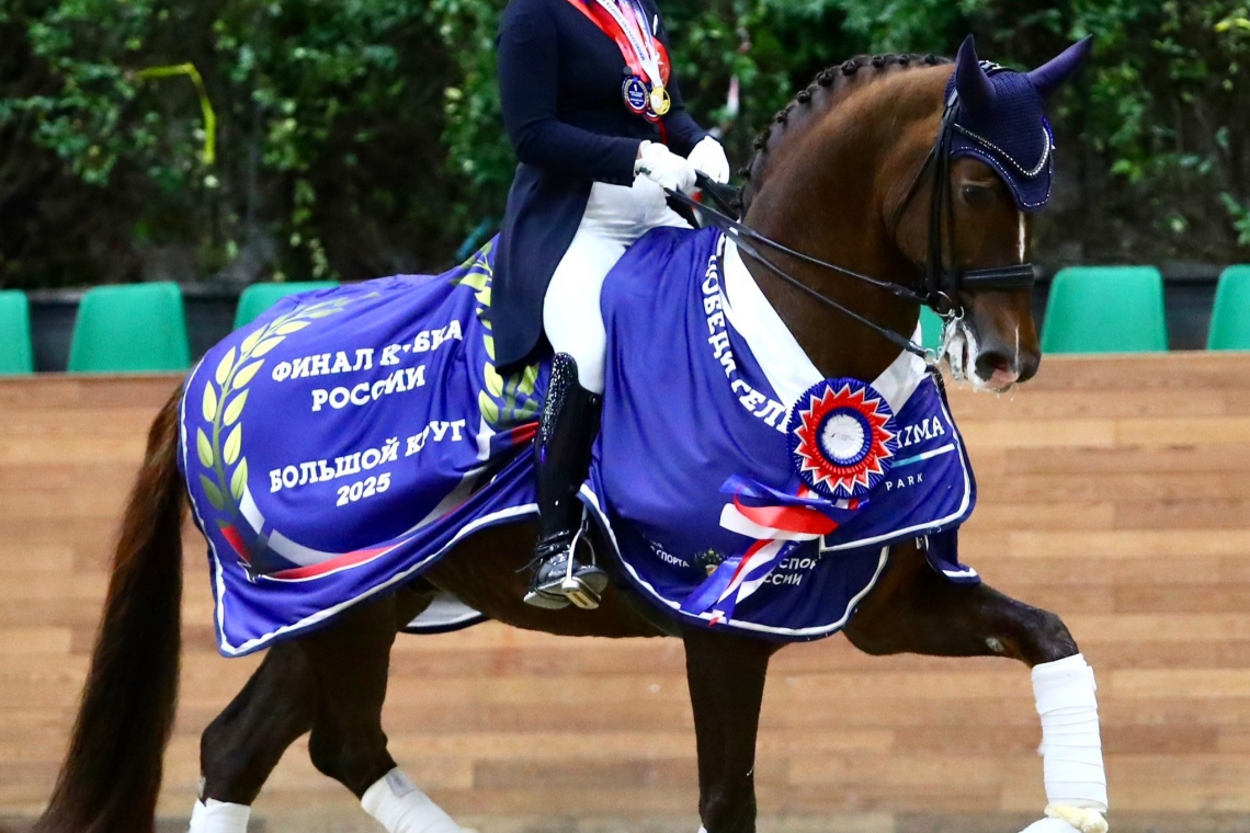 Победа на Кубке России