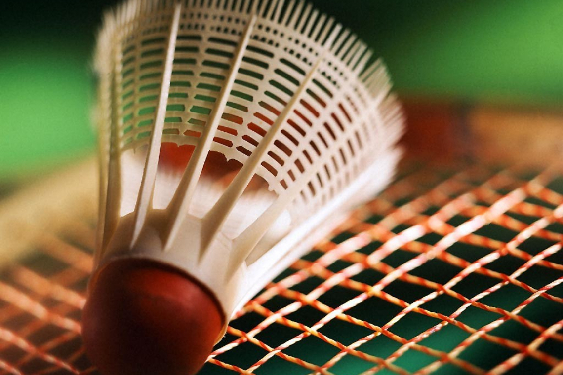 У ярославских бадминтонистов 10 медалей