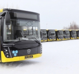 На биатлон в Демино – на автобусе!