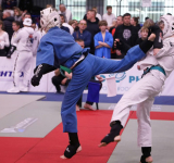 40 медалей кудоистов