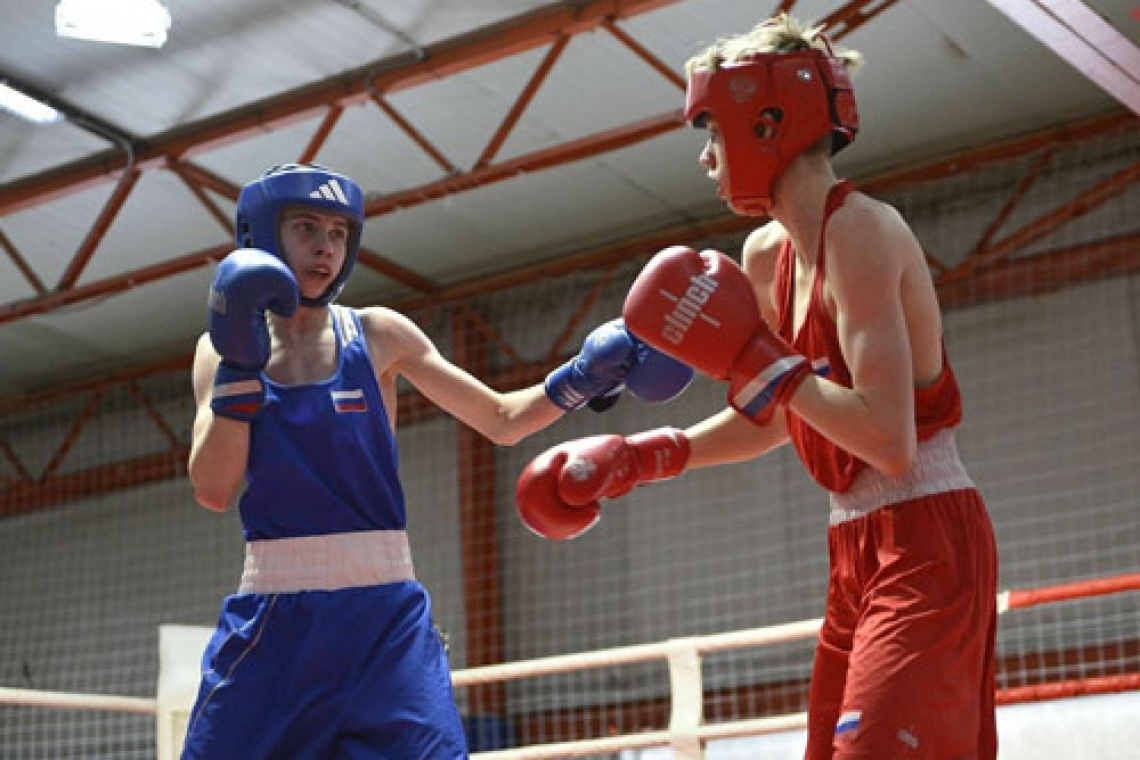 Отличились боксеры Ярославского региона