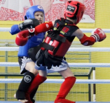 18 медалей ярославских боксеров