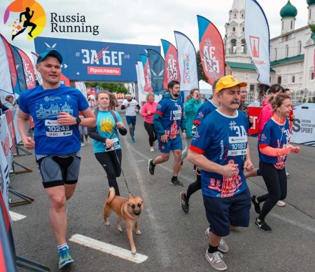 Ярославская область стала спортивным лидером России