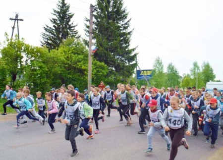 В селе Брейтово прошел День массового спорта